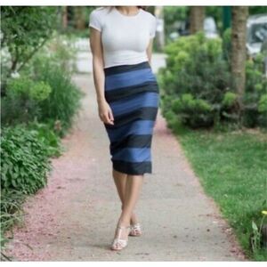 NEW Banana Republic Chic Navy & Blue Shimmer Rugby Stripe Pencil Skirt Size 6